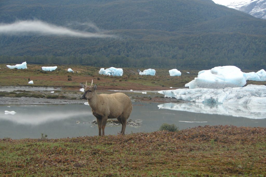 La imagen tiene un atributo ALT vacío; su nombre de archivo es flora-fauna-1024x681.jpg